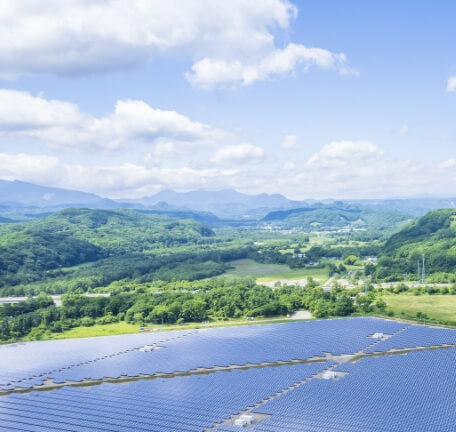 Environmental Activity Report