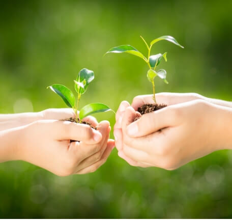 Social Contribution Activities